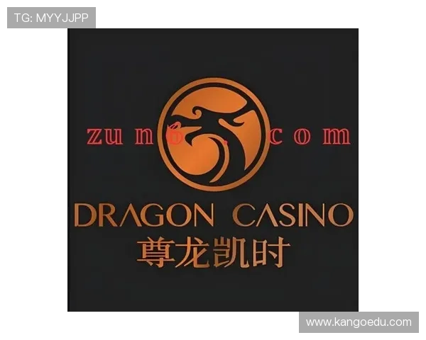 尊龙网站入口全面解析，帮助玩家快速找到官方入口地址实现无忧游戏体验